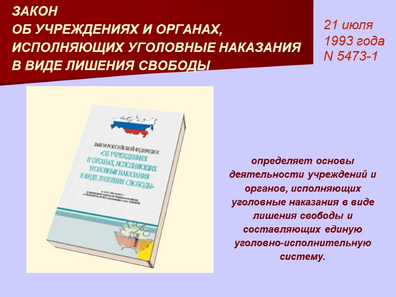 ЗАКОН  ОБ УЧРЕЖДЕНИЯХ И ОРГАНАХ, ИСПОЛНЯЮЩИХ УГОЛОВНЫЕ НАКАЗАНИЯ В ВИДЕ ЛИШЕНИЯ СВОБОДЫ 